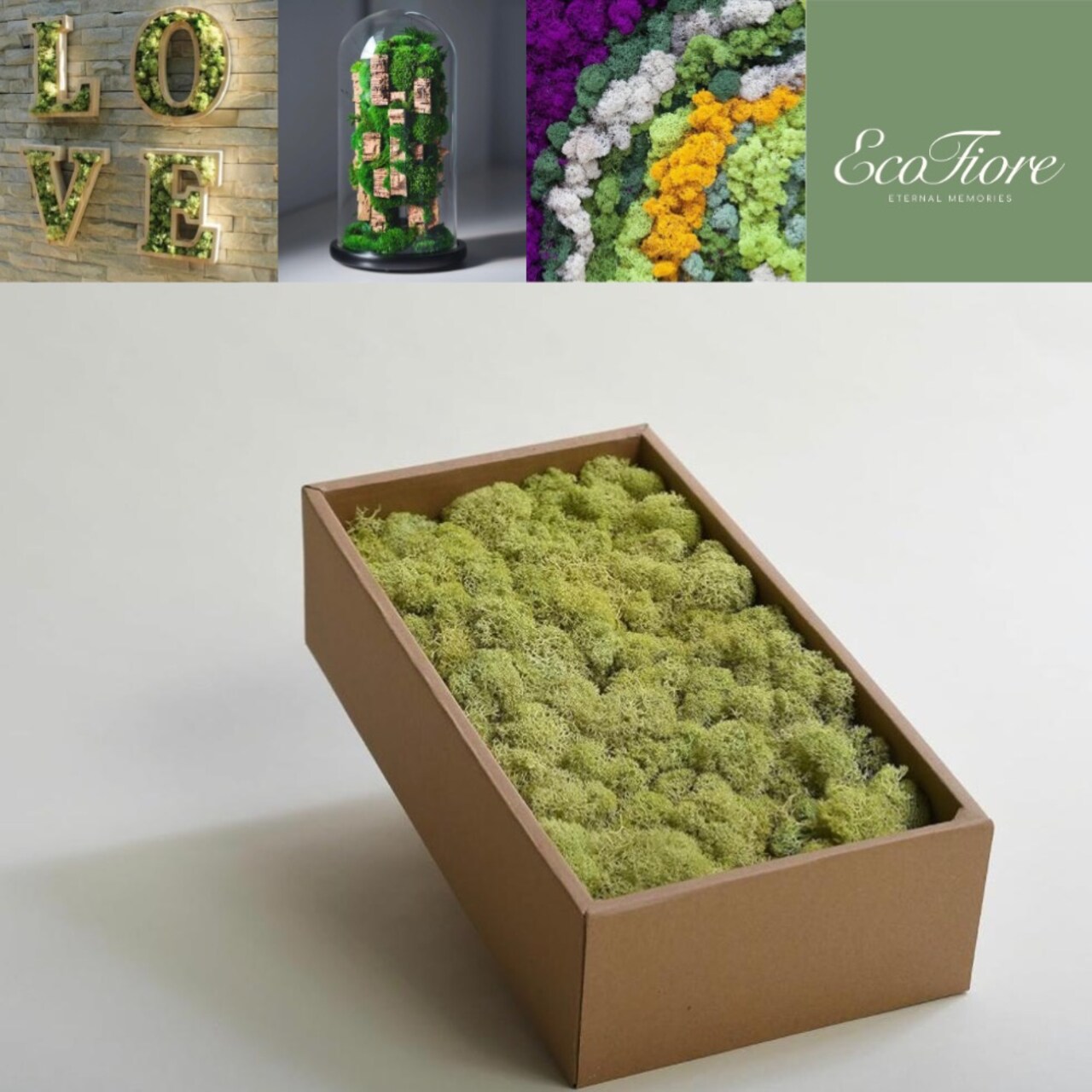 Moss Preserved Lime Green for Fairy Gardens Terrariums, Craft, DIY, Floral, 500g